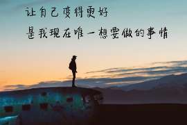 曲松调查业务