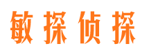 曲松市侦探调查公司